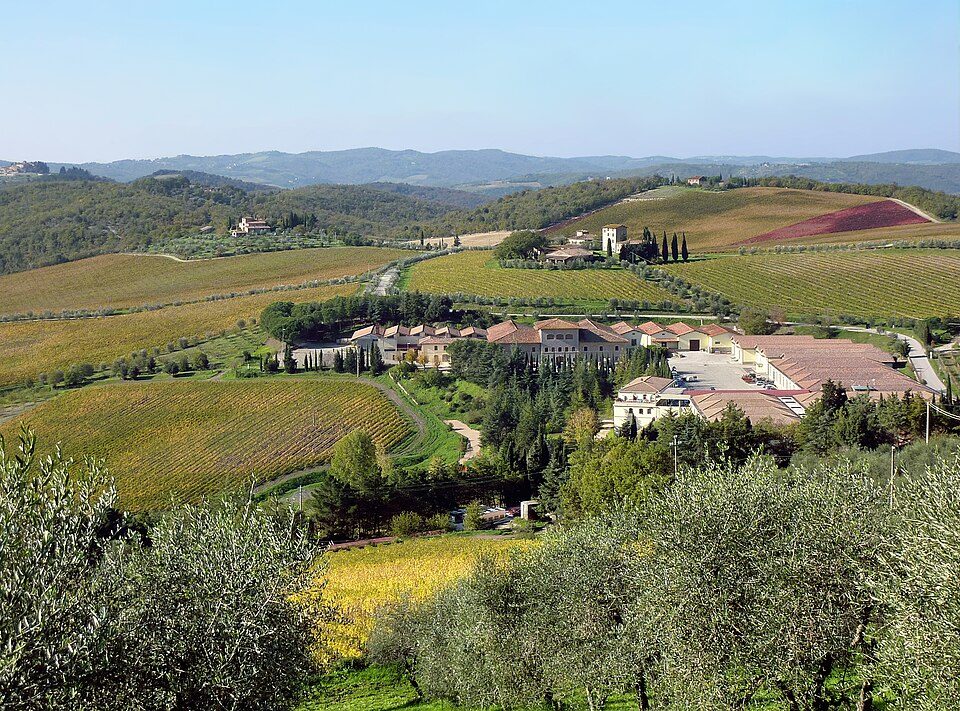 Weinberge im Chianti