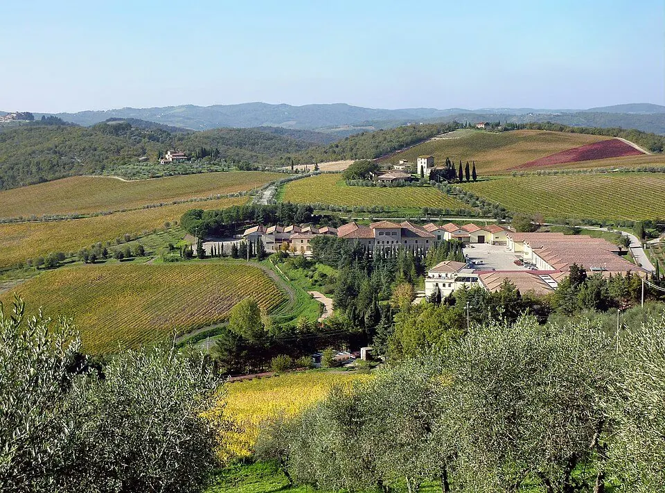 Vigneti del Chianti
